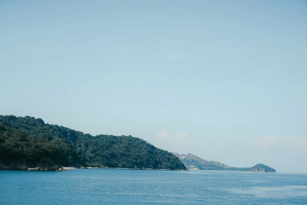 海南企业品牌推广策略：从策略到落地的整合营销方案解析正文配图 2