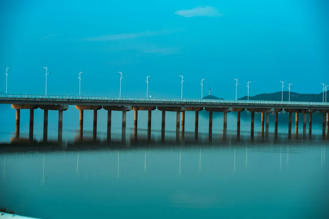 海南自贸港政策下跨界营销策划的趋势分析与应用前景